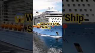 🚢😲Royal Caribbean Cruiseline | High Class Ship