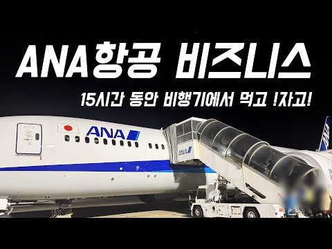 일본 하네다공항에서 비엔나까지의 ANA 비즈니스 클래스 경험담