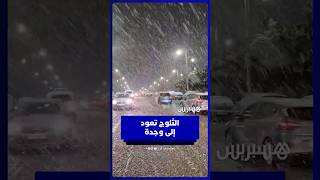 مشهد نادر.. الثلوج تغطي مدينة وجدة thumbnail