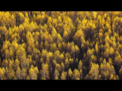Pavel Denisov - Terra [Silk Music]