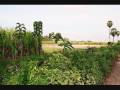 MBilal S Farm Nathemedu Melpattambakkam India