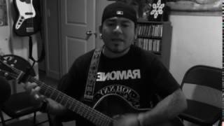 Every Night, Screeching Weasel acoustic cover