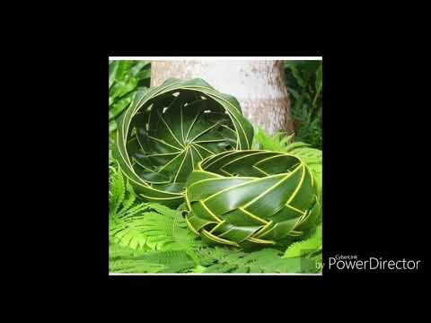 Tabubil - Patti Potts Doi