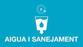 6 Aigua neta i sanejament