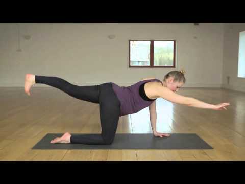 Four Point Kneeling Alternate Arm and Leg Extension Exercise