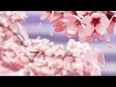 Travis Scott | 24Hrs | Drake Type Beat- Ohmyohmy (prod. ivsir) *snippet*