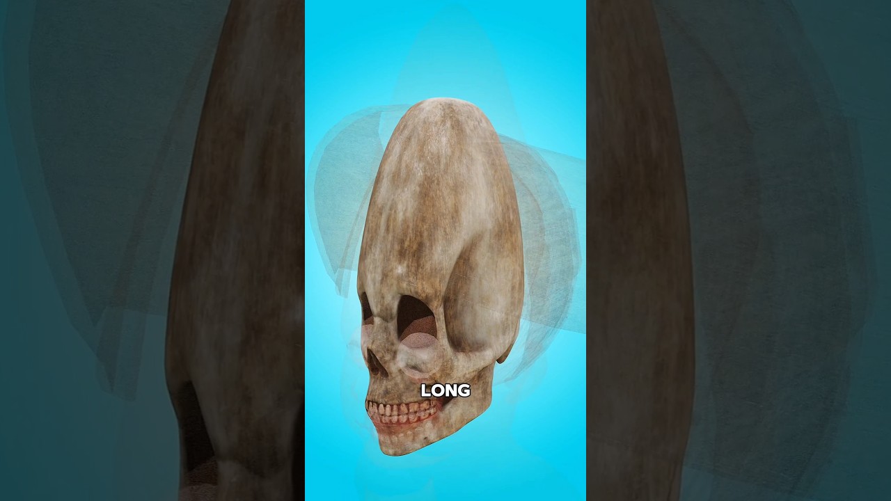 Unique Tradition of Ancient Mayans!😲#shorts