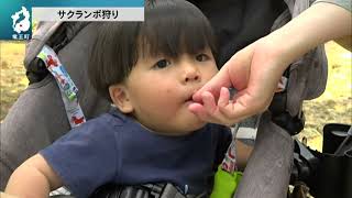 ６月０１日 【びわ湖放送ニュース】
