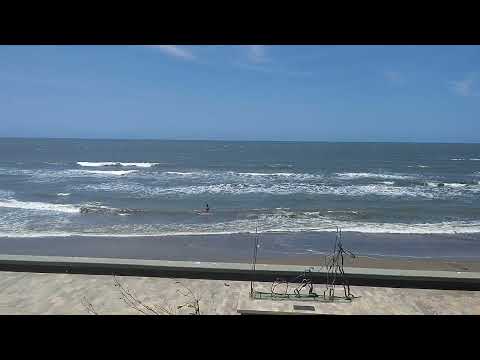 MUELLE 1888 PUERTO COLOMBIA -Atlantico Marzo 24/ 2026