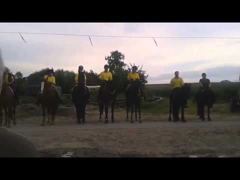 Kavallerie Hemeringen 2014 Üben