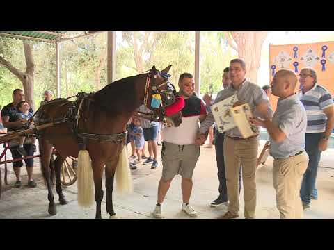 Edizzjoni oħra suċċess tal-Wirja taż-Żwiemel