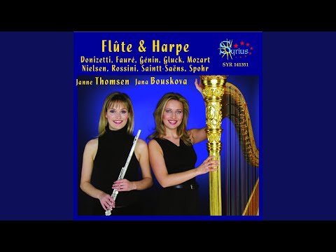 Sonate pour flûte et harpe in C Minor: I. Adagio