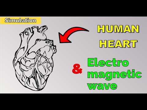 Numerical Simulation of Doppler Radar for Heartbeat Detection: Radar Cardiogram (RCG) Using FDTD