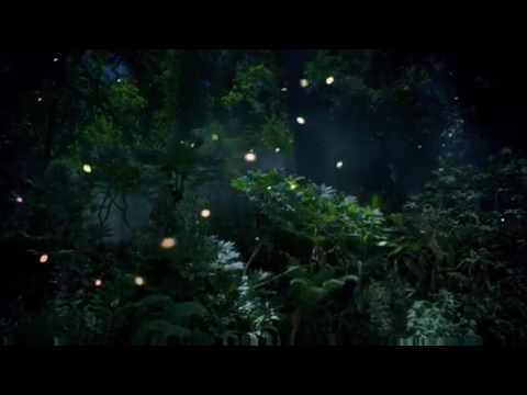 Top 10 Most Viewed Music Videos Of All Time (February 2017)