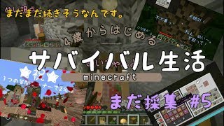 【4歳から始めるサバイバル生活★Part5】マイクラ実況