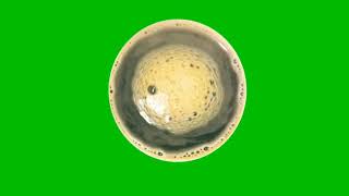 Download lagu HD GREEN SCREEN EFFECTS: KOPI PANAS 11 HOT COFFEE mp3