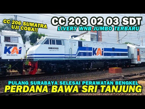 LIVERY WNB JUMBO BARU!! Lokomotif CC 203 02 03 SDT Kereta Api Sri Tanjung Double Traksi ke Surabaya
