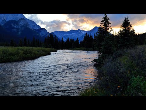 4K Elk River Sunset | Gentle Mountain River in BC Backcountry | Relaxing Nature Sounds for Sleep