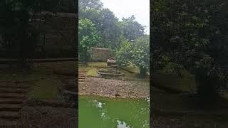 Download lagu mungkin kurang makan #macan #shortvideo #shortsfeed #taman margasatwaragunan mp3