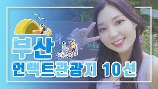 부산 언택트 관광지 10선의 이미지
