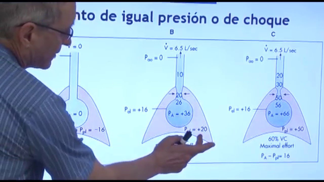 Fisiología III - Compresión Dinámica Vías Aéreas 1