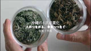 沖縄の６次産業化-R7　～人がつながる、未来へつなぐ～