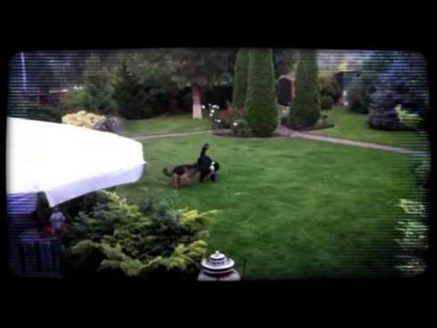 Girl's play )  Glory Forward Ukraine and Adele Perro de Montana