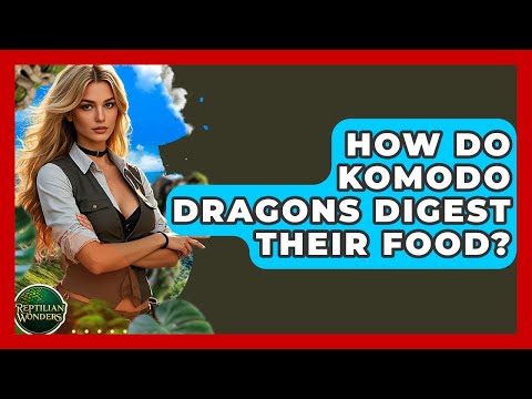 How Do Komodo Dragons Digest Their Food? - Reptilian Wonders