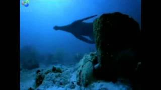 Porcupine Tree - Phantoms