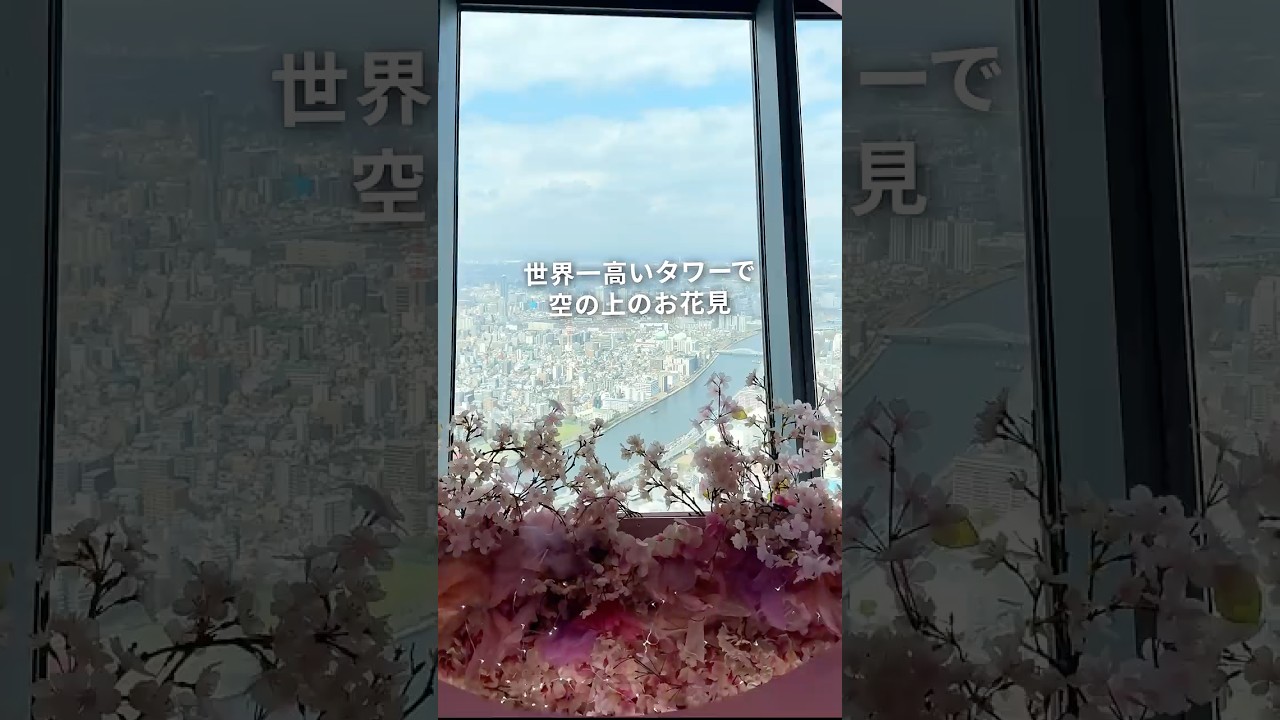 【関東旅】世界一高いタワーで、春の訪れを感じた件😎