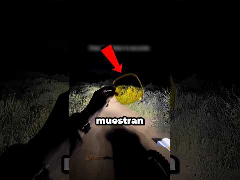 Por qué los faros amarillos ven más nítido? 🤯 #shorts #luz #curiosidades