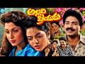 Allari Priyudu Superhit Telugu Movie Rajashekar Ramya Krishna Madhubala IDream Vizag