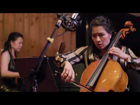 Merz Trio: Brahms Piano Trio No. 3 in C minor, Op. 101 I: Allegro Energico