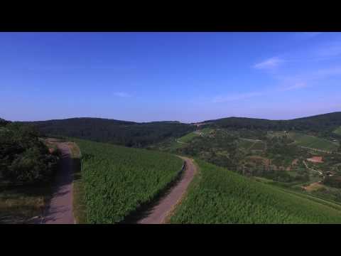 Luftaufnahmen von Kernen im Remstal