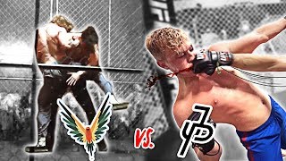 Logan Paul vs. Jake Paul Best FIGHTS !