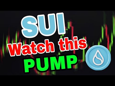 Sui coin news today! Sui Price prediction