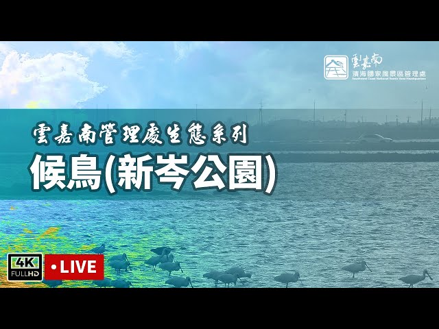 雲嘉南管理處生態系列-候鳥(新岑公園)即時影像 cctv 監視器 即時交通資訊