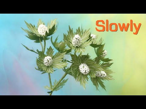 ABC TV | How To Make Eryngium Plant Paper (Slowly)- Craft Tutorial