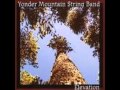 Yonder Mountain String Band - To Say Goodbye, To Be Forgiven