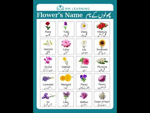 Flowers Name In English and Urdu #rmlearning #flowers #english #viralvideo