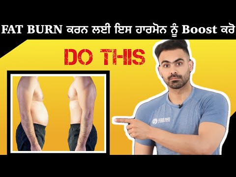Burn Skinny Fat | Harry Mander