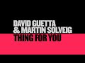 David Guetta & Martin Solveig - Thing For You (Lyric video)