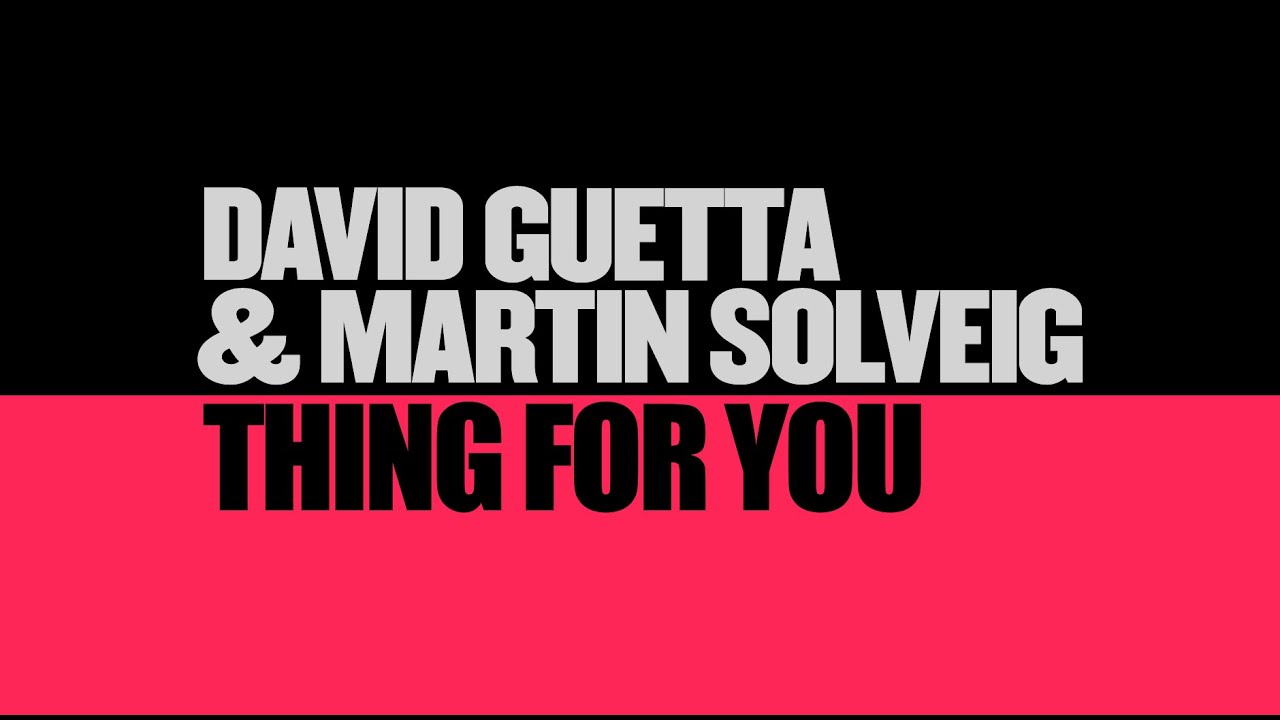 David Guetta & Martin Solveig – Thing For You