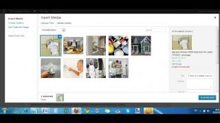 Spinning images in Vortex 2.1