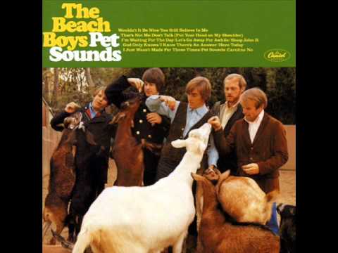 The Beach Boys - I'm Waiting For The Day