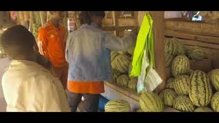 CHABIKI WA YANGA BAADA YA KUFUNGWA NA ZESCO