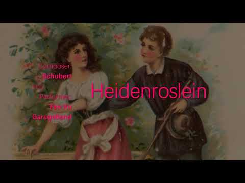 Little Rose on the Heath (Violin)