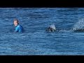Un champion de surf échappe miraculeusement à l'attaque d'un requin