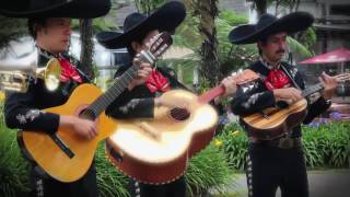 Video de Mariachi Tequila Show