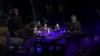 David Gray- The Sapling  6/28/19 The Orpheum Theatre in Los Angeles